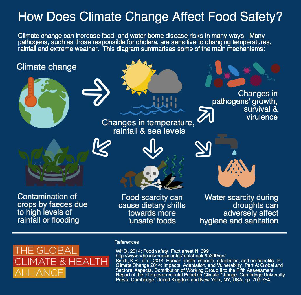 Food For Thought | Keeping Food Safe In An Era Of Climate Change