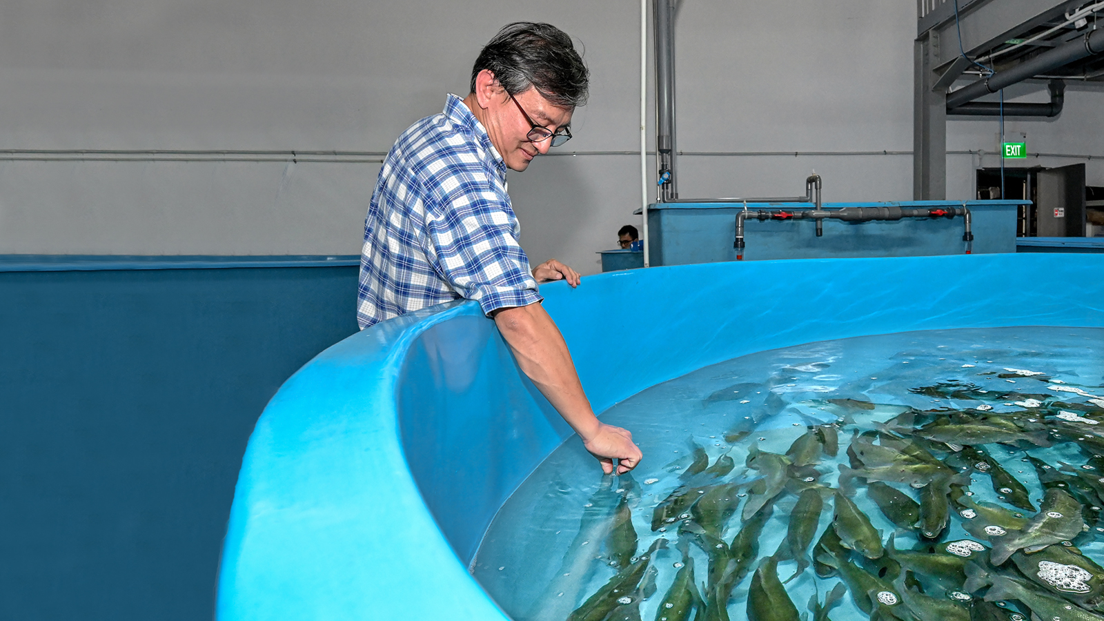 53,300+ Aquaculture Stock Photos, Pictures & Royalty-Free Images - iStock |  Aquaculture norway, Aquaculture salmon, Aquaculture icon