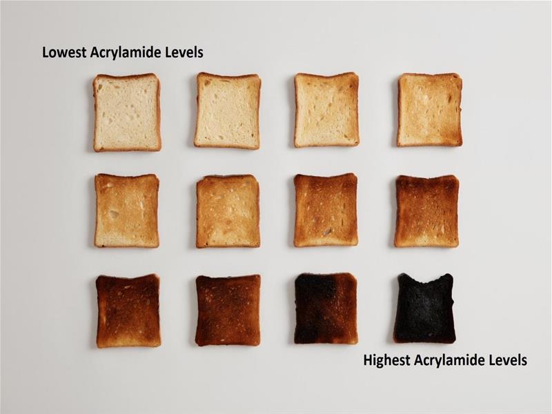 Burnt Toast & acrylamide