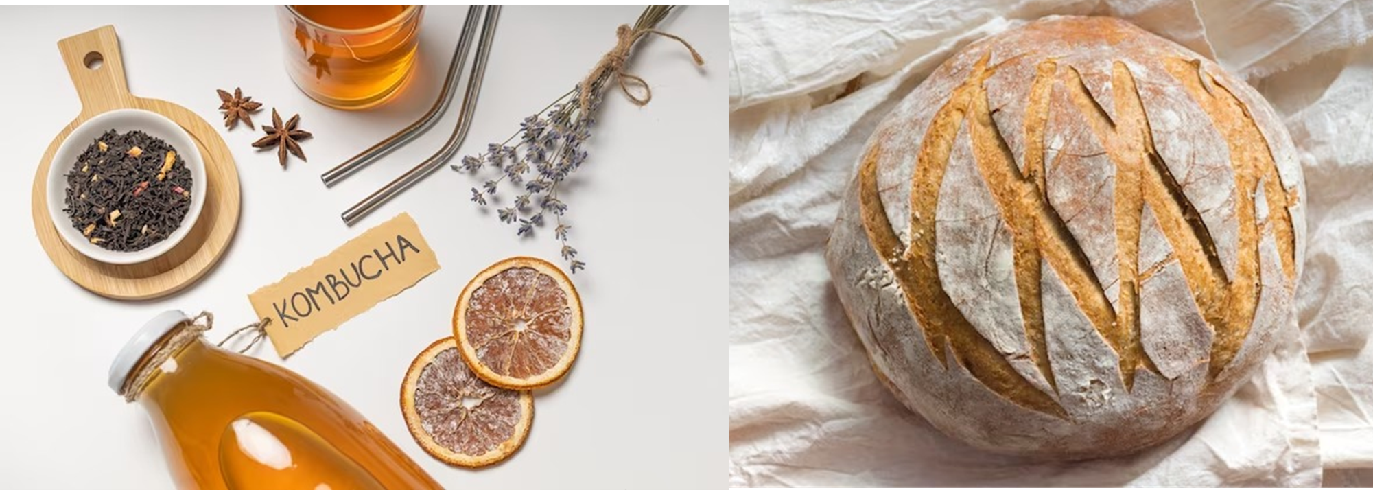 Kombucha and Bread